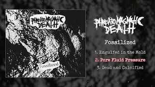 Phreatomagmatic Death  Fossilized FULL EP 2019  Goregrind  Death Metal [upl. by Buchalter811]