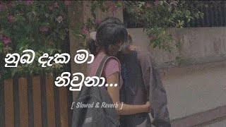 නුඹ දැක මා නිවුනා  Nuba Daka Maa Niuna Female version  Cover Song [upl. by Erlinna]