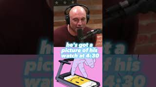 Joe Rogan amp David Goggins talk about Jocko Willink 💪🏋️‍♀️ [upl. by Gnuoy]