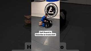 Half Guard Attack jiujitsu bjj brazilianjiujitsu grappling [upl. by Cordier]