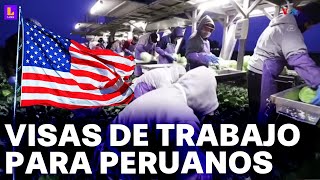 Perú accederá a visas de trabajo en Estados Unidos ¿Qué requisitos debo cumplir [upl. by Nahtannhoj399]