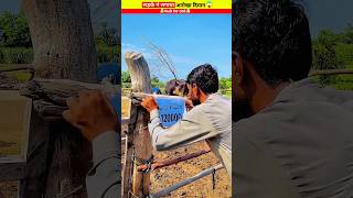 लड़के ने किया अनोखा कांड Wood working with art handcraft ideas home maderal telentskillar [upl. by Arais]