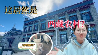 【Tibet Local Houses】带你参观藏族姑娘800平米的农村大房子！ 西藏文化 卓玛 [upl. by Kistner609]