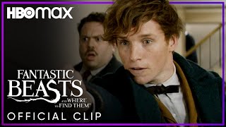 Newt Scamander Tries Catching The Niffler  Fantastic Beasts and Where to Find Them  HBO Max [upl. by Ailey509]