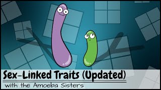 Punnett Squares and SexLinked Traits UPDATED [upl. by Amethist]