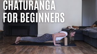 Chaturanga for Beginners Tutorial [upl. by Ecertak]