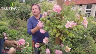 Calendrier du jardinier juin  que faire au jardin ou sur la terrasse  Truffaut [upl. by Iadam]