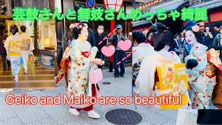 芸鼓さんと舞妓さんめっちゃ綺麗 🥰👘Maiko Geiko maiko geiko [upl. by Florella731]