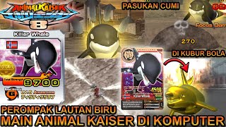 PEROMPAK LAUTAN KILLER WHALE DI KOMPUTER   ANIMAL KAISER EVOLUTION PC [upl. by Rebel]