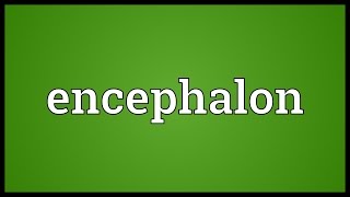 Encephalon Meaning [upl. by Nnylyahs798]