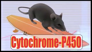 CytochromeP450 Interactions Mnemonic [upl. by Honeywell]