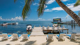 SunBreeze Suites Ambergris Caye Belize [upl. by Eiramyllek11]