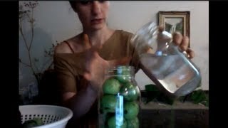 How to make a Black Walnut tincture for a parasite cleanse [upl. by Weinberg]