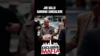 Rare Footage Gambino Consigliere Joe N Gallo organizedcrime mobsters [upl. by Lunetta]