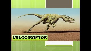 Dinossauros  Os Velociraptors [upl. by Rosenblast]