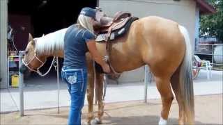 SKIP N MAGIC AQHA Palomino mare for sale [upl. by Nilauqcaj]