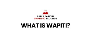 What is Wapiti estespark [upl. by Wit665]