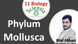 Phylum Mollusca  11 Biology Chapter 10 by Scientia  UrduHindi [upl. by Caputto982]