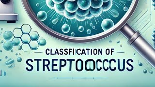 StreptococcusClassificationmicrobiology dmltbscmlt streptococcus by lab in kannada [upl. by Acinnad]