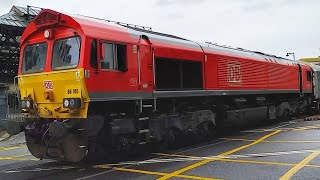 Class 66 DB 66105 Crosses Canute Road Level Crossing Southampton [upl. by Cassady]