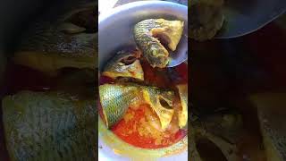 How to cook tilapia macher jhol 😋 2024 minivlog cooking foryou reels [upl. by Aruol247]