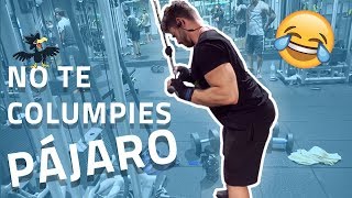 Extensión de triceps en polea en 1 minuto FORTALECER TRÍCEPS [upl. by Valoniah]