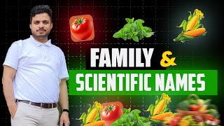 Important Fruits and Vegetables Scientific Names and Families for CCSHAU [upl. by Aikenat]