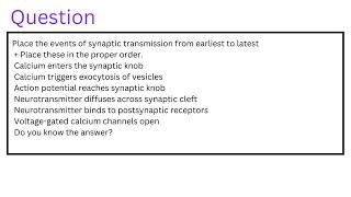 Place the events of synaptic transmission from earliest to latest  Place these in the proper order [upl. by Terrill]