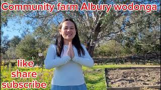 Community farm in Albury wodonga Garden lover ♥️ [upl. by Jaclin229]