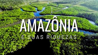 Amazôniariquezas biodivercidadeflorestagarimpoouro mineração riograndedosul catastrófe [upl. by Cavil709]