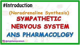 0Sympatethic Nervous System Pharmacology  Noradrenaline synthesis [upl. by Colombi638]