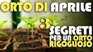 ORTO di APRILE  3 SEGRETI per un ORTO RIGOGLIOSO [upl. by Colburn562]