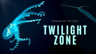 Mysteries of the Twilight Zone  Worlds of the Deep [upl. by Ayela]