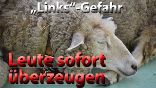 Faschismusgefahr  Wie jedes echte Schlafschaf sofort überzeugt werden kann [upl. by Grand]