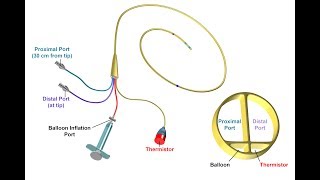 Proper Insertion and Use of a Pulmonary Artery Catheter  BAVLS [upl. by Nagaek828]