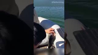 Fishing Fails 12 [upl. by Elmira829]