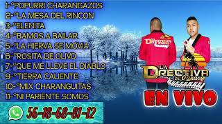 LA DIRECTIVA D OAXSN FELIPE DEL PROGMEX PARTE 2 AUDIO FULL HD★★★ [upl. by Adnotal]