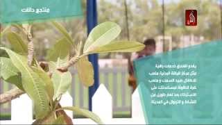 منتجع دانات جبل الظنة، رحلة من الخيال على الساحل الغربي لإمارة ابو ظبي  سياحة داخلية [upl. by Kunz]