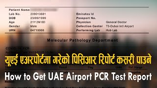 यूएई एअरपोर्टमा गरेको पिसिआर रिपोर्ट कसरी पाउने  How to Get UAE Airport PCR Test Report [upl. by Og935]