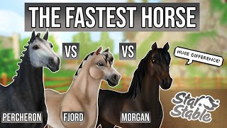 Proof The fastest horse in Star Stable  HUGE Difference Percheron vs Fjord vs Morgan [upl. by Tedi]