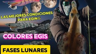 lo que no te dicen del EGING tutorial [upl. by Drofdarb]