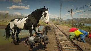 RDR 2  The Unforgettable Day Arthur Morgan Caught a Black Overo Mustang  Panda [upl. by Aillil]