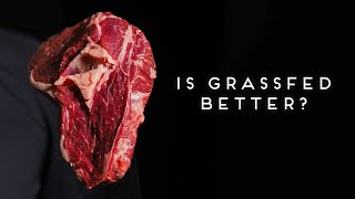 IS GRASS FED BEEF BETTER THAN GRAIN FED BEEF [upl. by Adamis41]