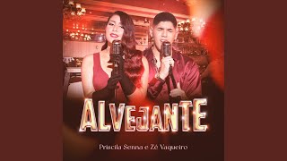 Alvejante feat Zé Vaqueiro [upl. by Aken]