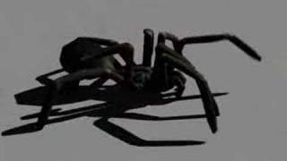 Spider Walk Cycle [upl. by Marty]