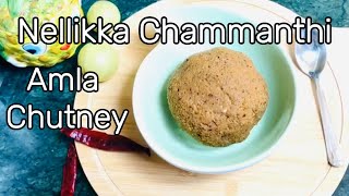 Nellikka chutney നെല്ലിക്ക ചമ്മന്തി Kerala Style Nellikka Chammanthi  Amla coconut chutney [upl. by Suzanna183]