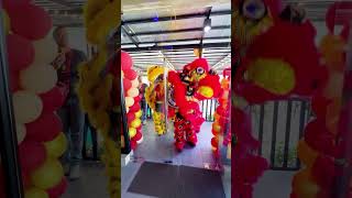 Lion Dance  Grand Opening Ceremony [upl. by Eejan36]