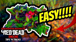 Wintergreen Berry Location Fast and Easy Spot  deadPik4chUs Red Dead Online Tips and Tricks [upl. by Wesa171]