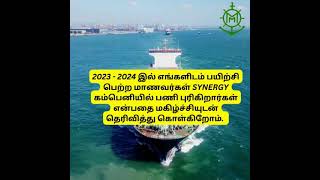 Job Opportunity at Synergy Maritime synergymaritime gprating ccmc coachingclassjobvacancy [upl. by Vasos]