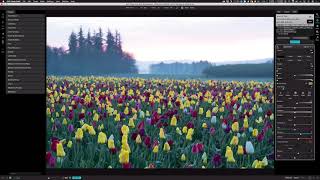 Using Lens Blur To Simulate Shallow Depth of Field – ON1 Photo RAW [upl. by Bedad]